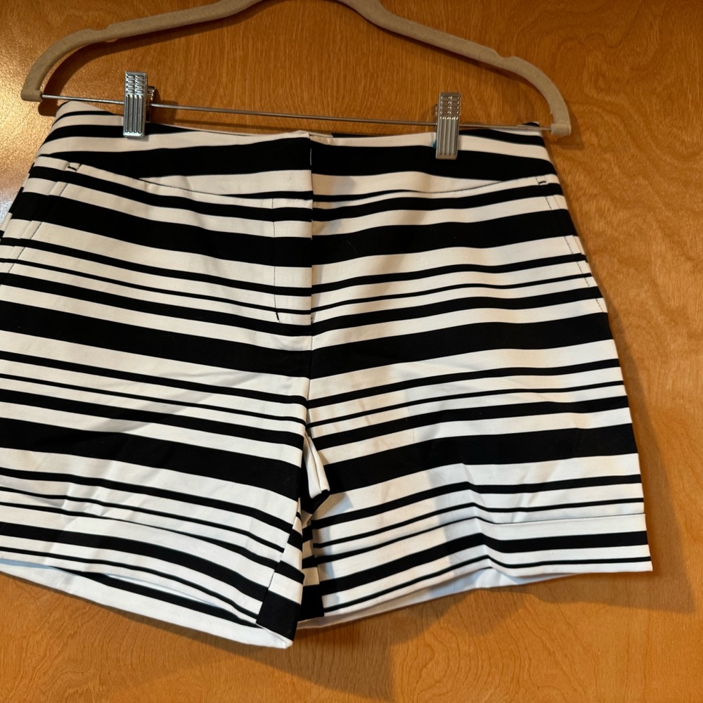 Fun sassy classy short with zipper closure
